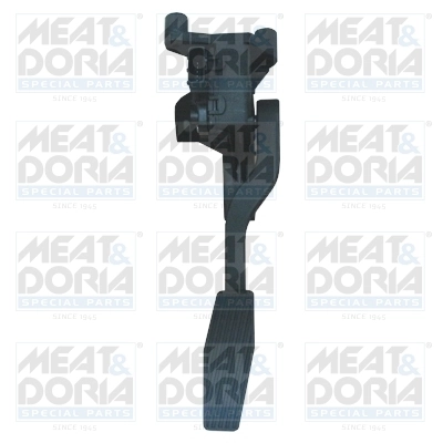Accelerator Pedal Unit